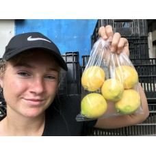 NEW SEASONS YEN BEN LEMONS  BAG OF 500 GRAMS GISBORNE Grown 